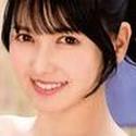 하나성 벽돌